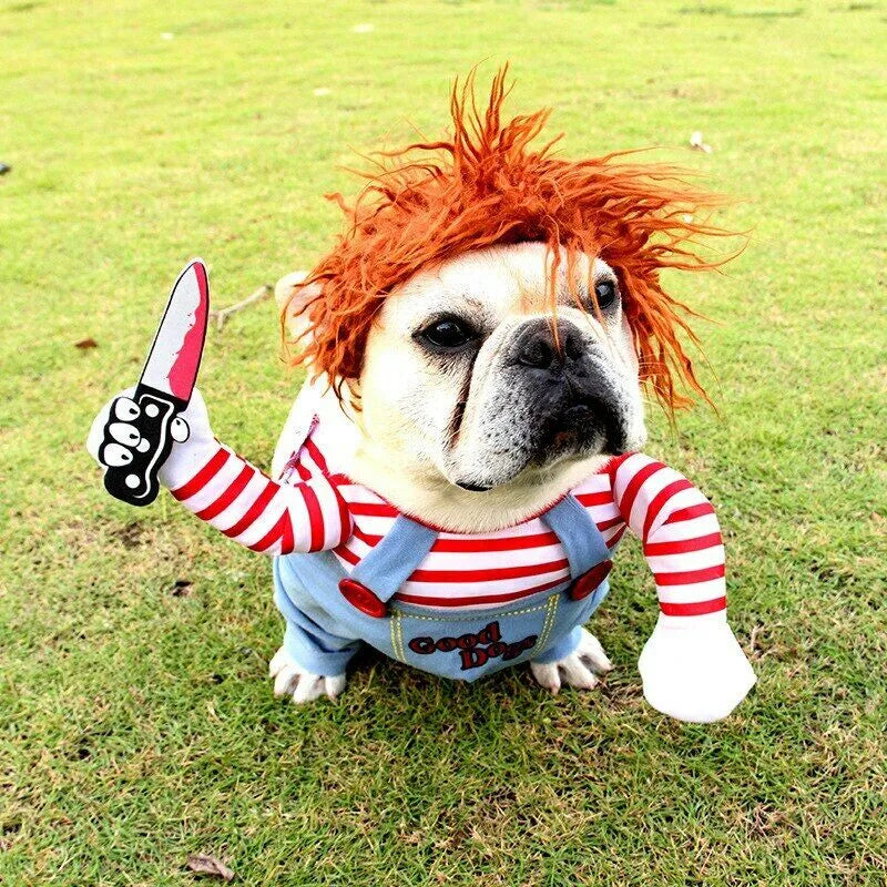 Halloween Dog costume - Lasienda
