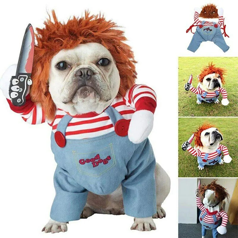 Halloween Dog costume - Lasienda
